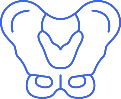 Icon for Arthritis Hip