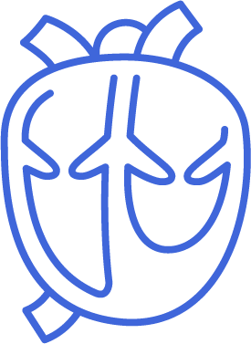 Icon for Coronary Arterial Disease