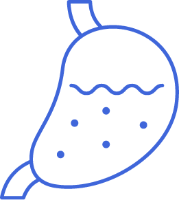 Icon for GERD - Gastroesophageal Reflux Disease