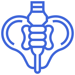 Icon for Trochanteric Bursitis