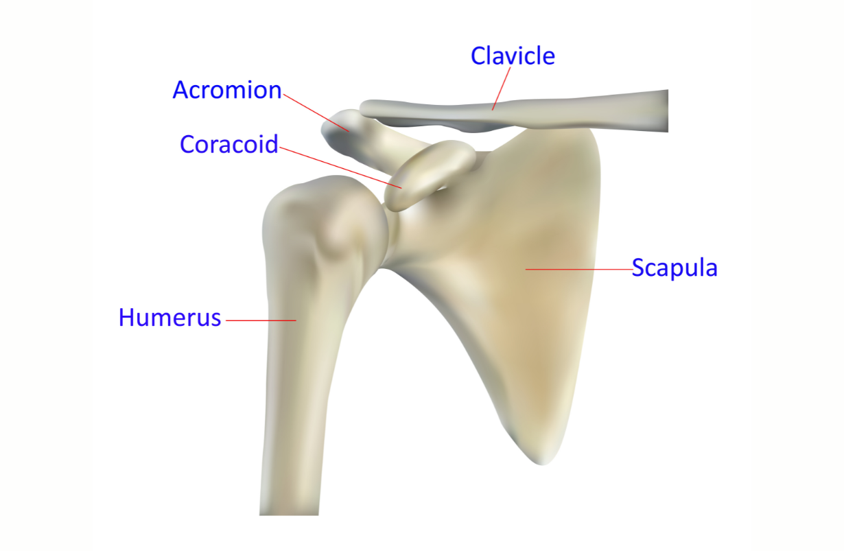 Adhesive Capsulitis